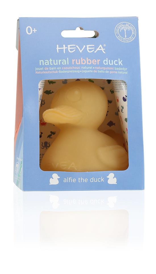 Hevea Alfie Duck Natural Rubber Bath Toy Hevea Baby Bath Toys at Little Earth Nest Eco Shop