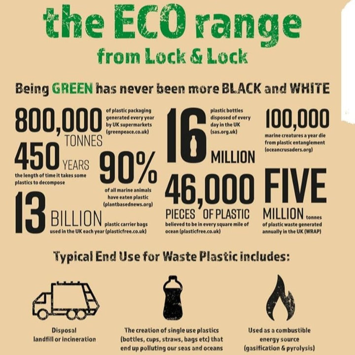 Lock and Lock Set of 2 Recycled Plastic Lunch Box Little Earth Nest