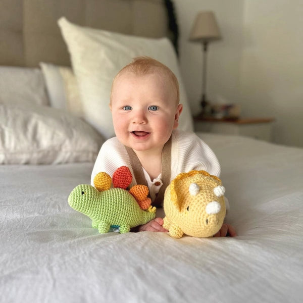 Dinosaur Rattle