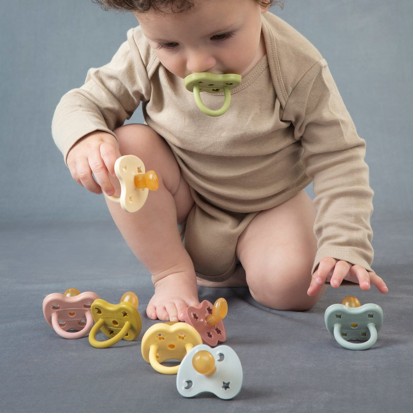 Hevea Natural Rubber Dummy Pacifier Coloured – Little Earth Nest