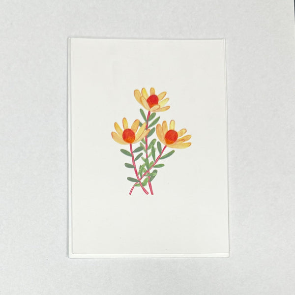 Discover NatureInspired Garden Toys Little Earth Nest