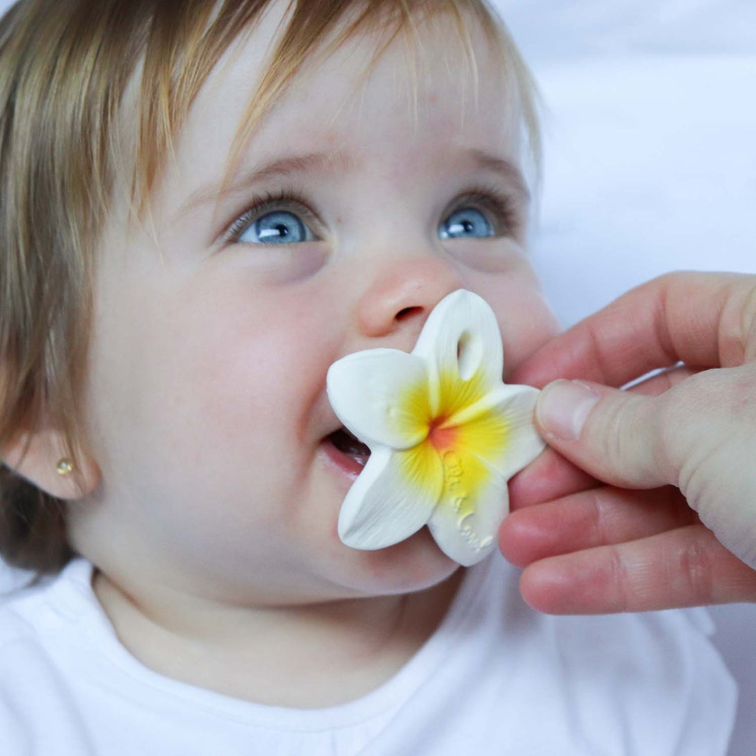 Hawaii Flower Teether by Oli and Carol Oli and Carol Dummies and Teethers at Little Earth Nest Eco Shop Geelong Online Store Australia