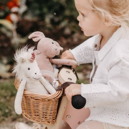 Kinderfeets Basket Kinderfeets Bicycle Accessories at Little Earth Nest Eco Shop Geelong Online Store Australia