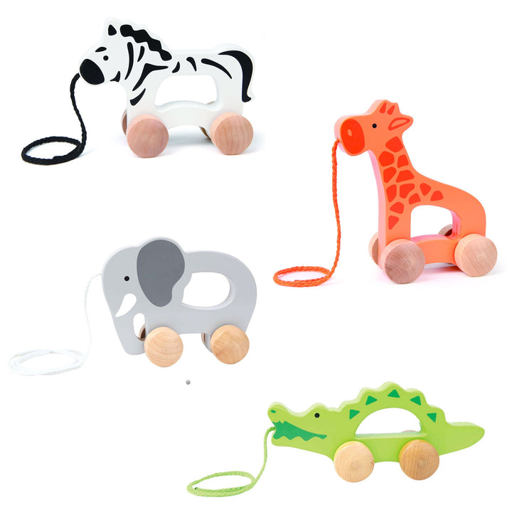 Hape Push and Pull Toy Hape Push and Pull Toys at Little Earth Nest Eco Shop