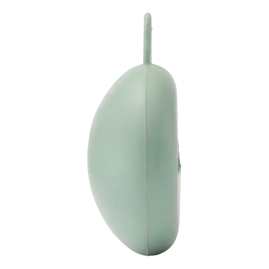 Hevea Pacifier Dummy Keeper Case Hevea Baby Baby Care at Little Earth Nest Eco Shop Geelong Online Store Australia