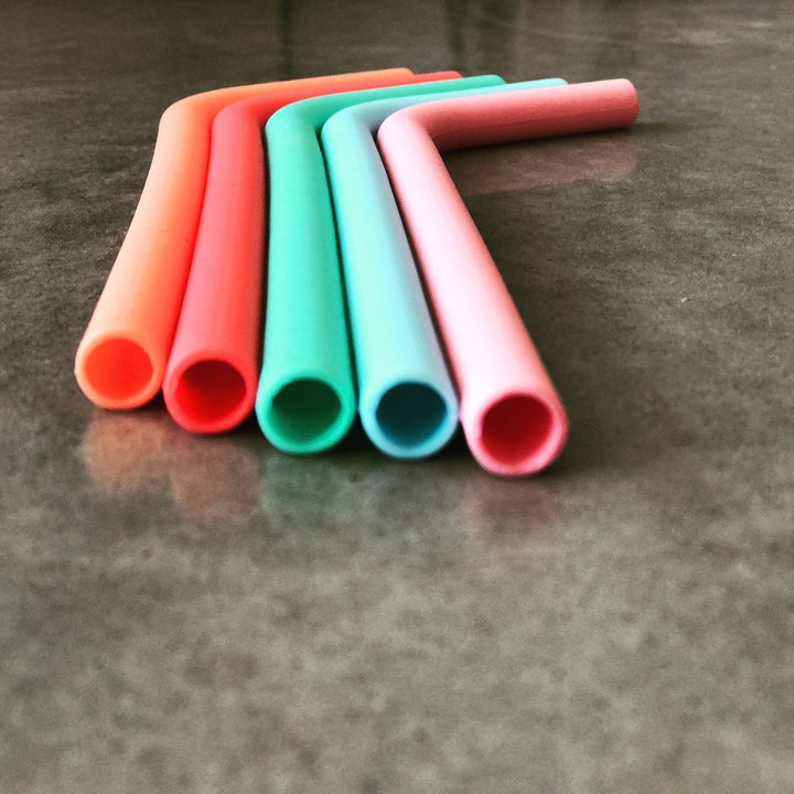 Silicone Straw Set Little Earth Nest General at Little Earth Nest Eco Shop